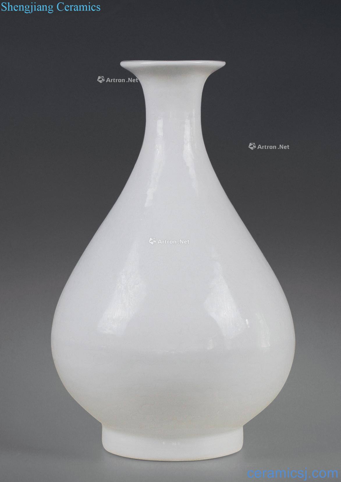 Ming White glaze okho spring bottle dark