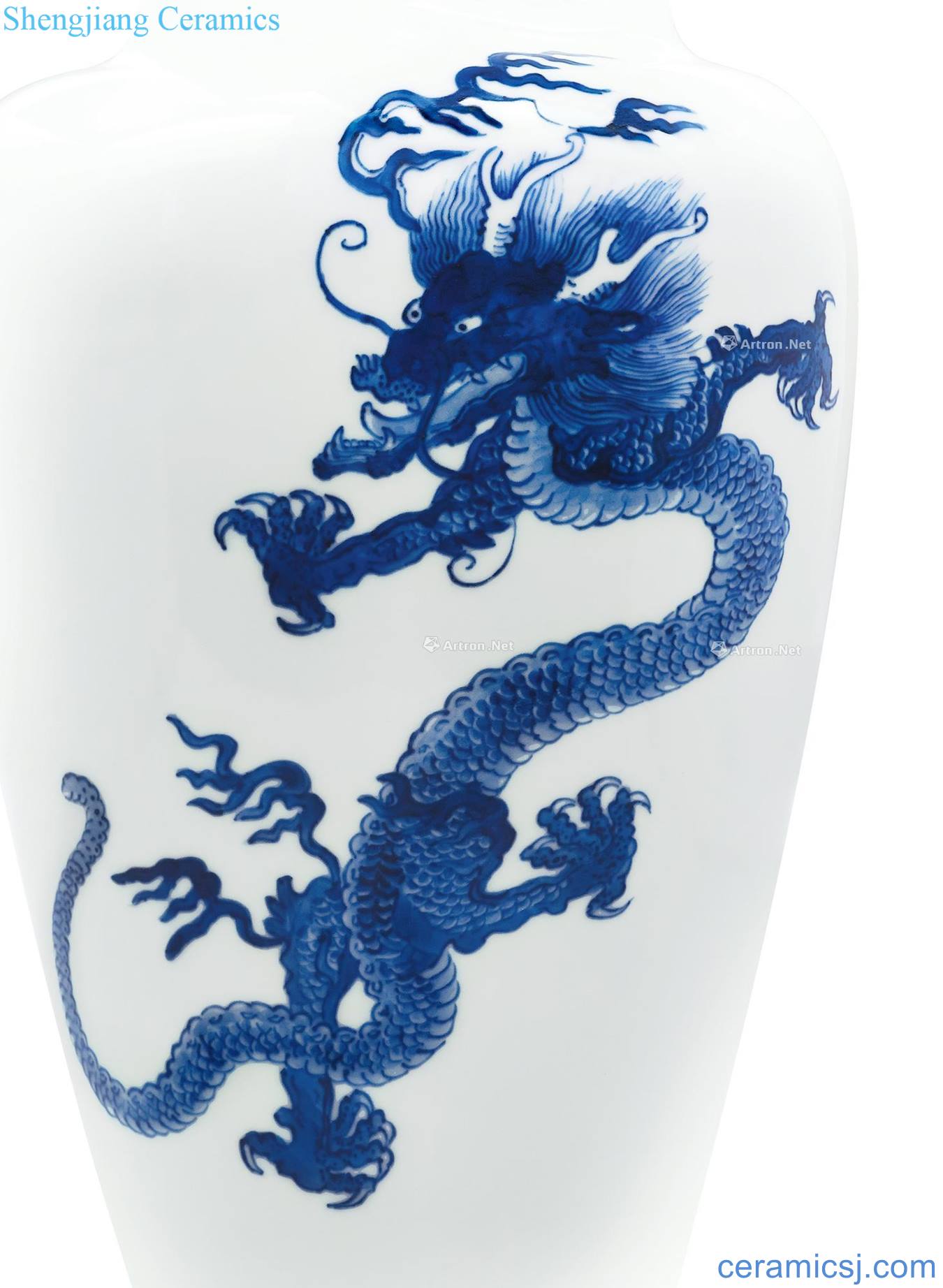 The qing emperor kangxi Blue and white dragon bottle