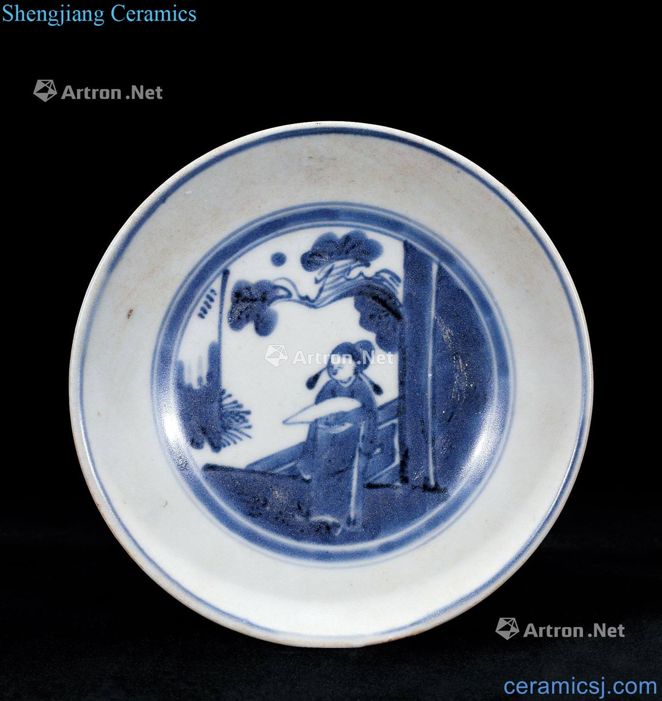 Qing dynasty blue and white tray