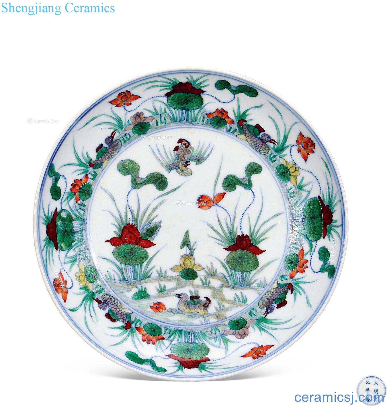The qing emperor kangxi bucket color is studied mandarin duck dish