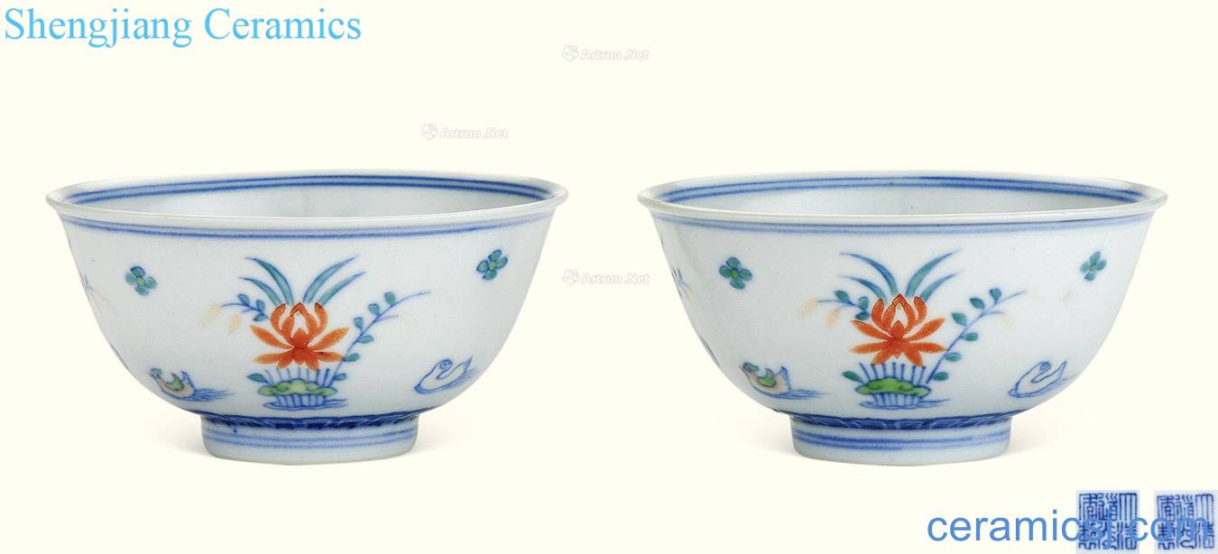 Qing daoguang bucket color lotus pond yuanyang green-splashed bowls (a)