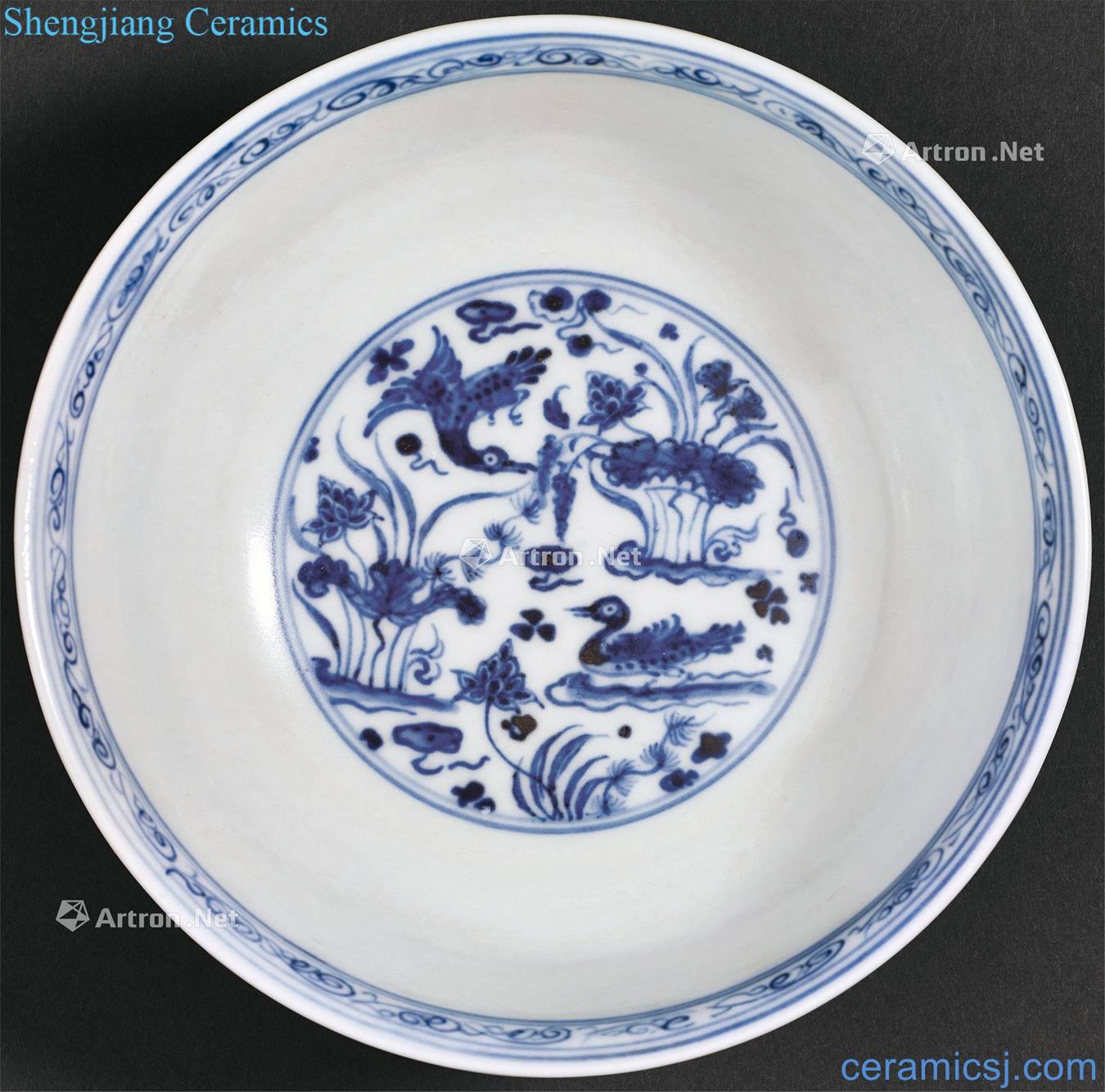 Ming dynasty Blue and white flower lotus pond yuanyang figure around branches bowl