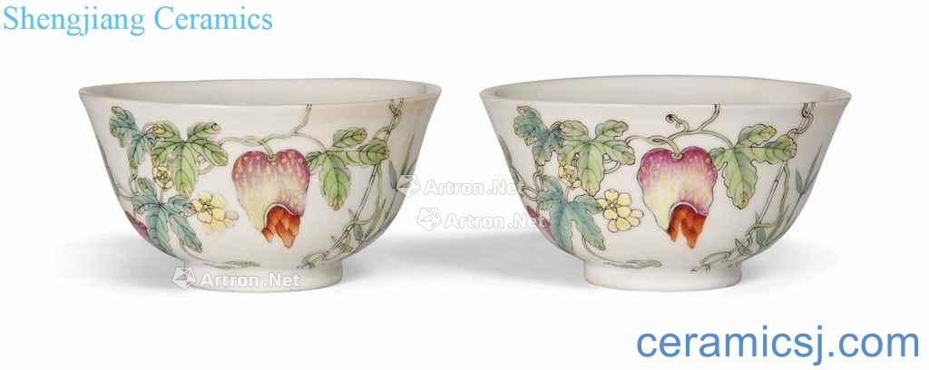 Daoguang period (1821-1850), A PAIR OF FAMILLE ROSE 'BITTER MELON AND BUTTERFLY' BOWLS
