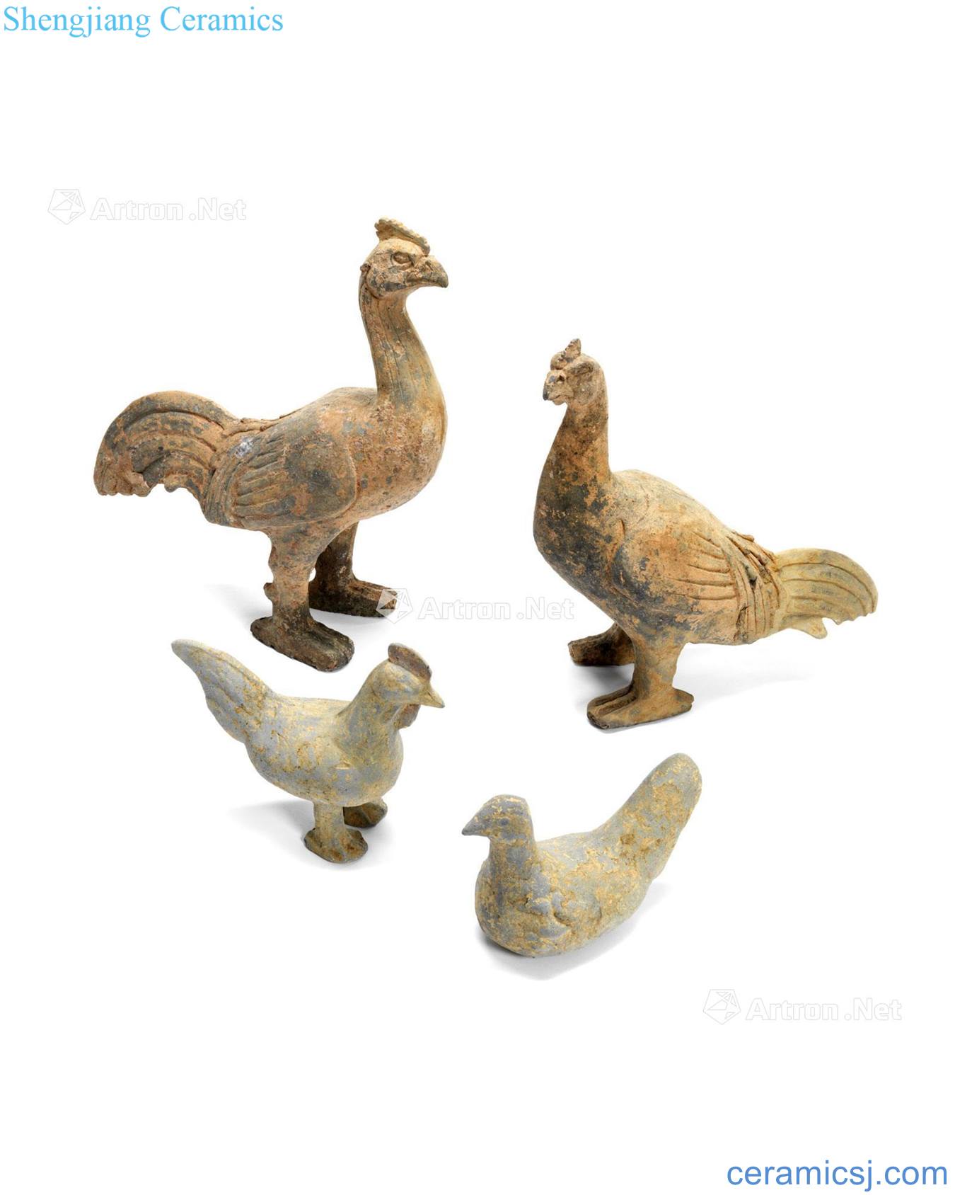 The eastern han dynasty pottery tire golden pheasant figurines (a group of four pieces)