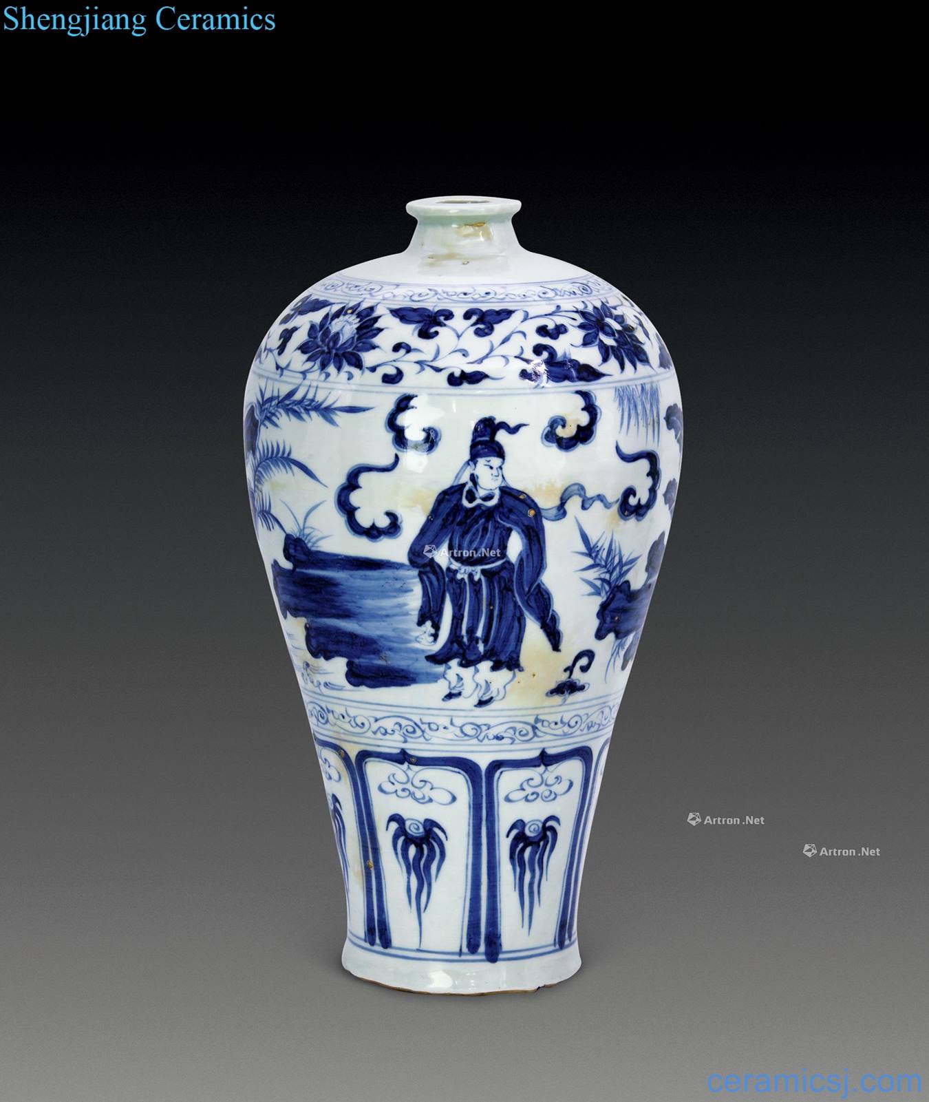 yuan Blue and white characters landscape flower grain mei bottle
