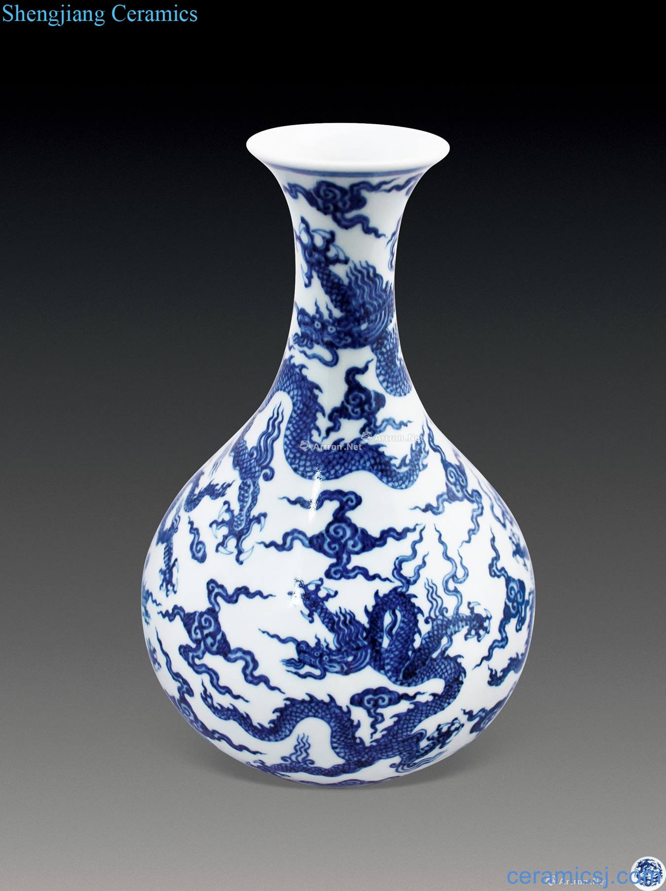 qing YunLongWen blue-and-white okho spring bottle