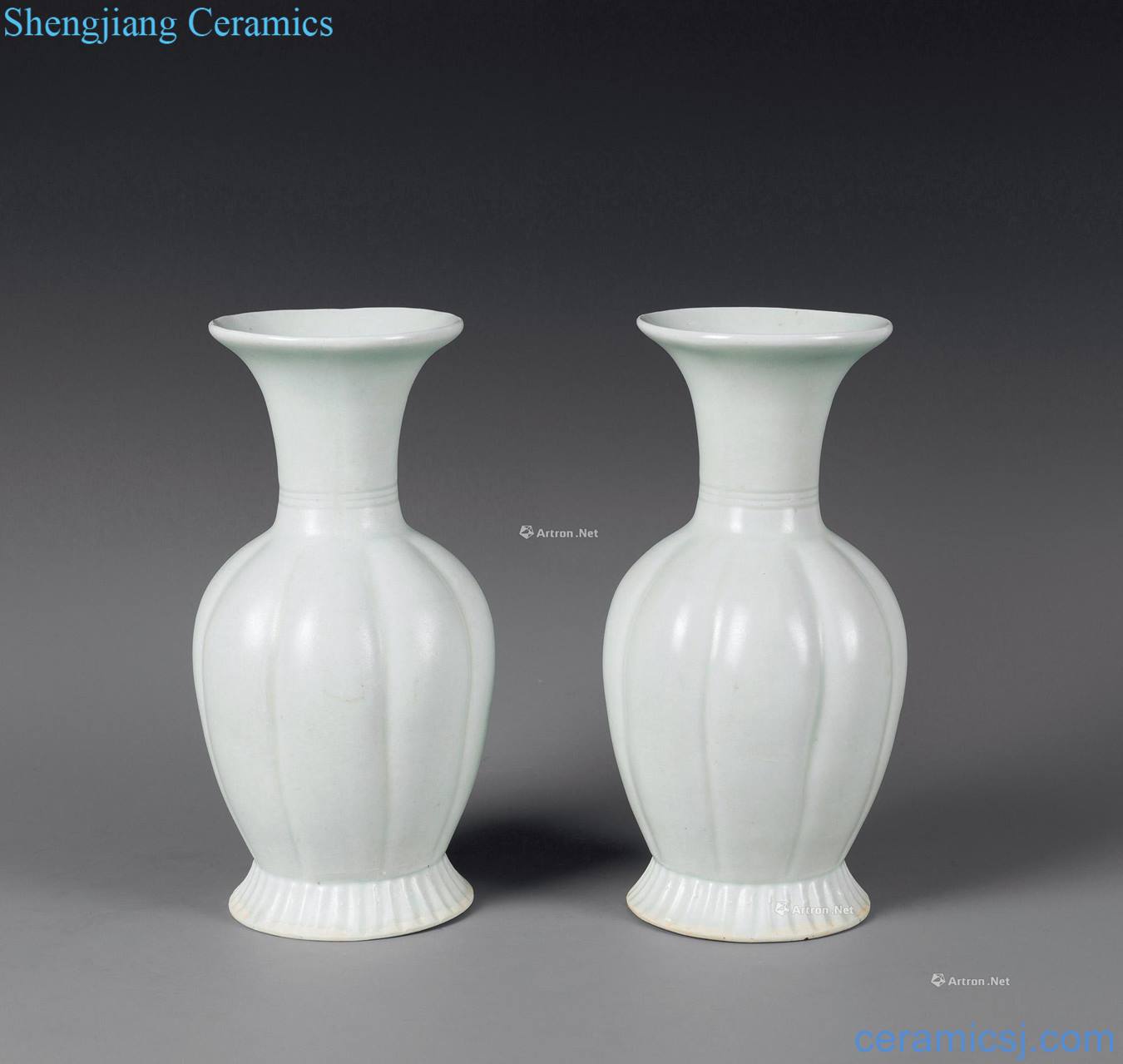 Song blue white porcelain melon leng bottle (a)