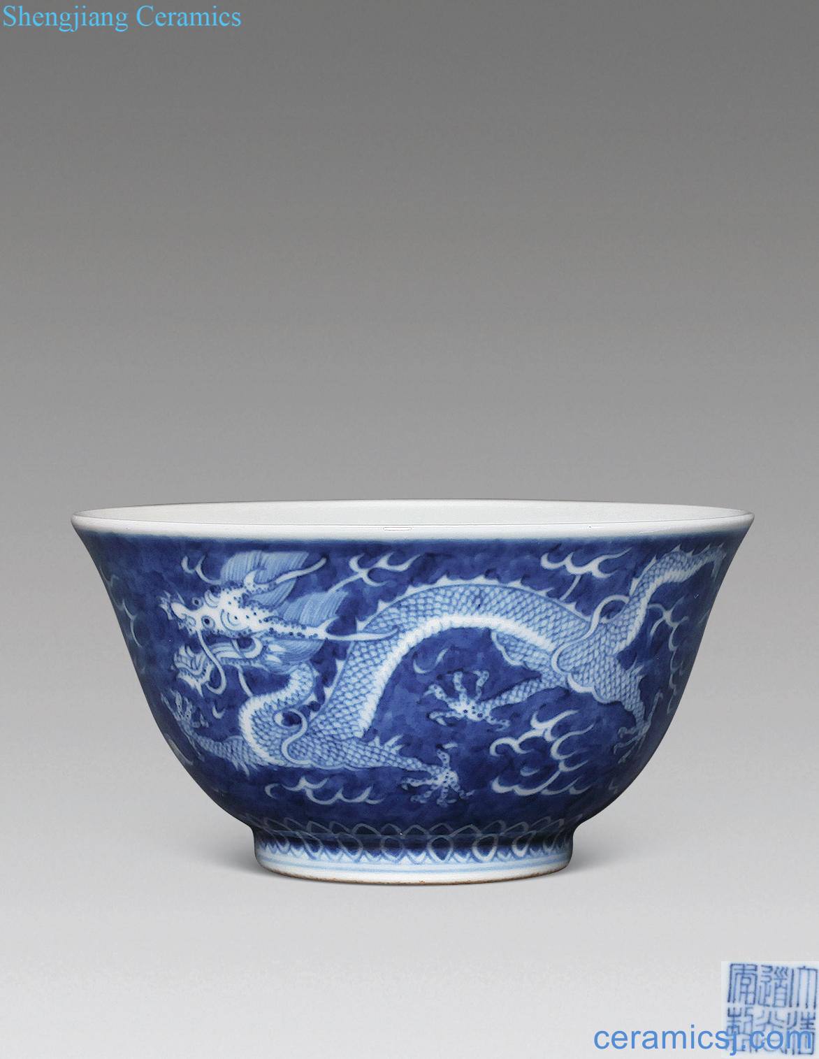 Qing daoguang Blue and white for the white dragon grain dishes