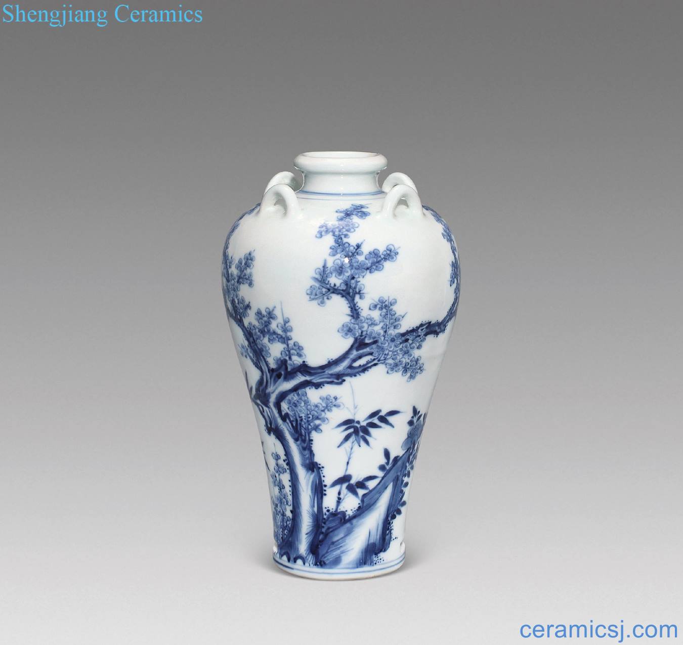 Qing yongzheng Blue and white in the plum and the bamboo double qing four series mei bottles