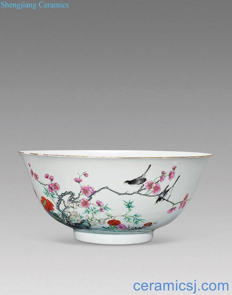 In late qing powder enamel bowls