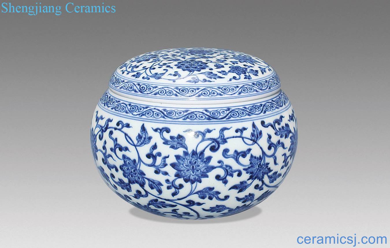 qing Blue and white lotus flower pot