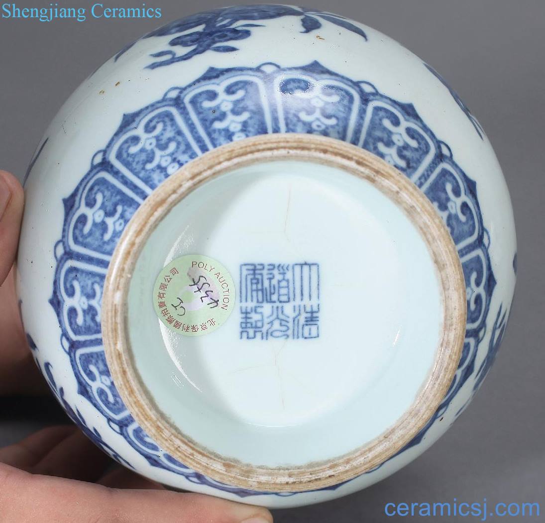 Qing daoguang Blue and white ruffled branch flowers and bottle of garlic