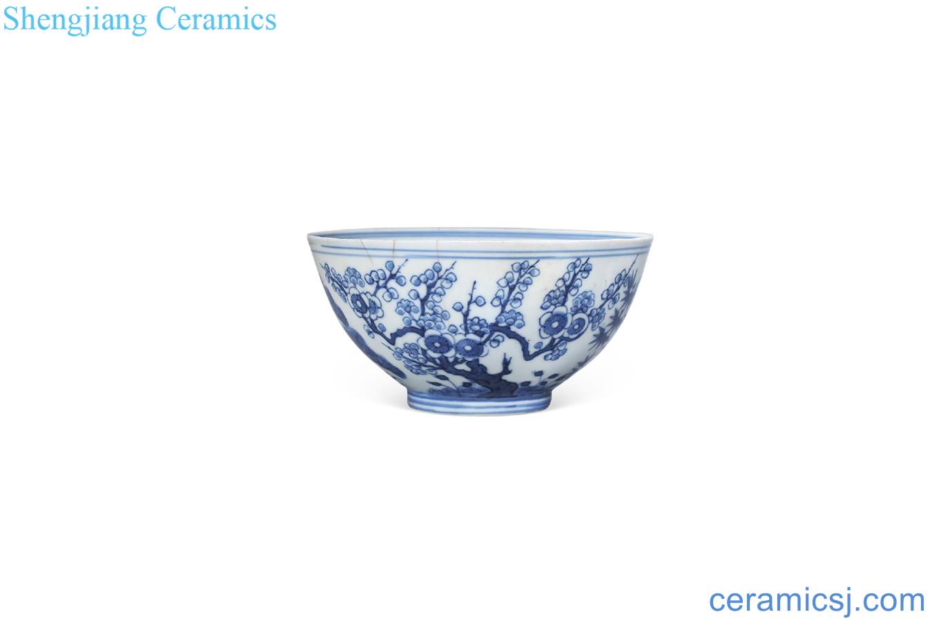 Qing guangxu Blue and white shochiku mei bowl