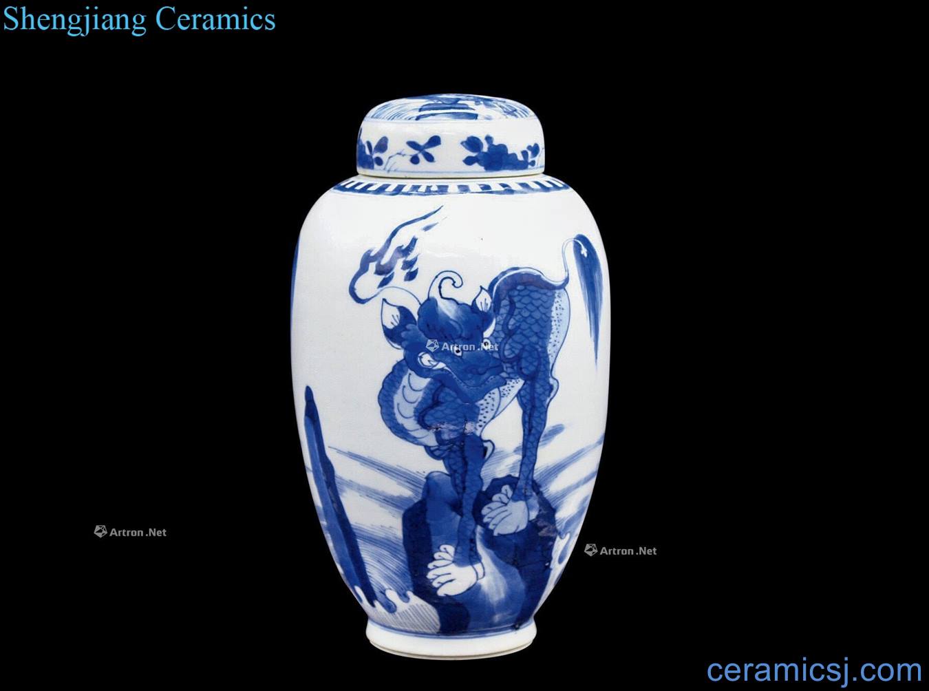 The qing emperor kangxi Blue and white benevolent lines cover tank