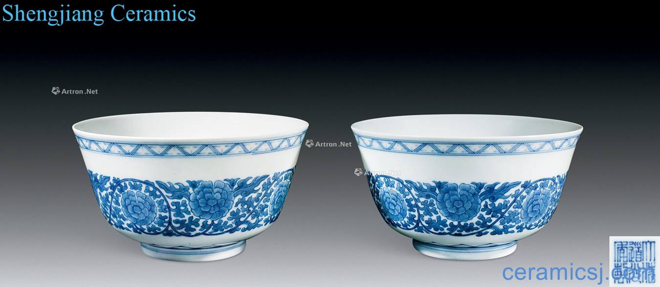 Qing daoguang Blue and white flowers green-splashed bowls (a)