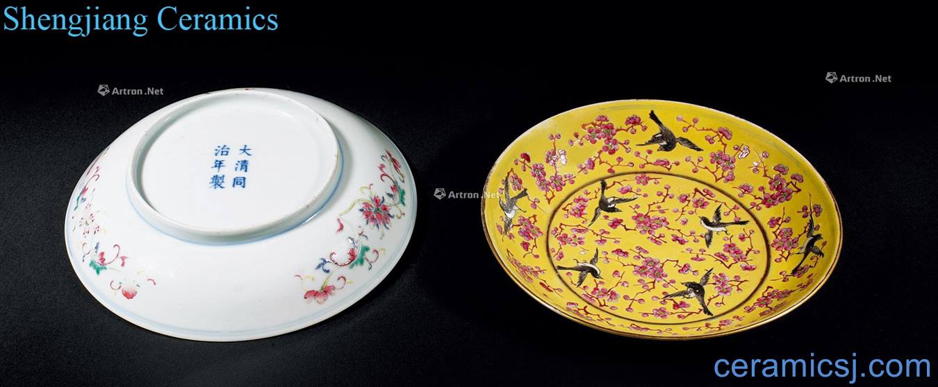 dajing Yellow to pastel magpie on MeiWen plate (a)