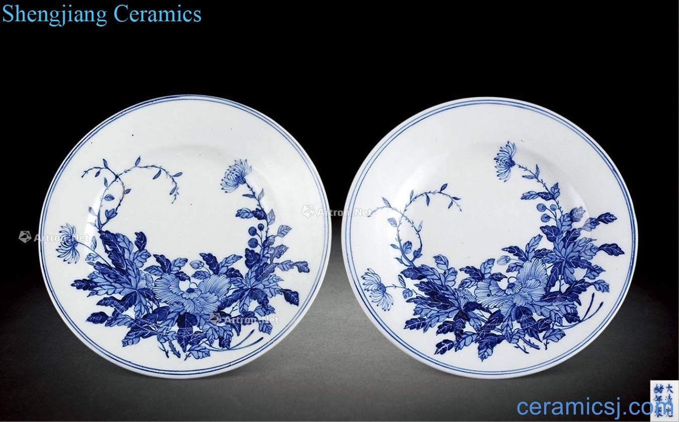Qing guangxu Blue and white flower plate (a)