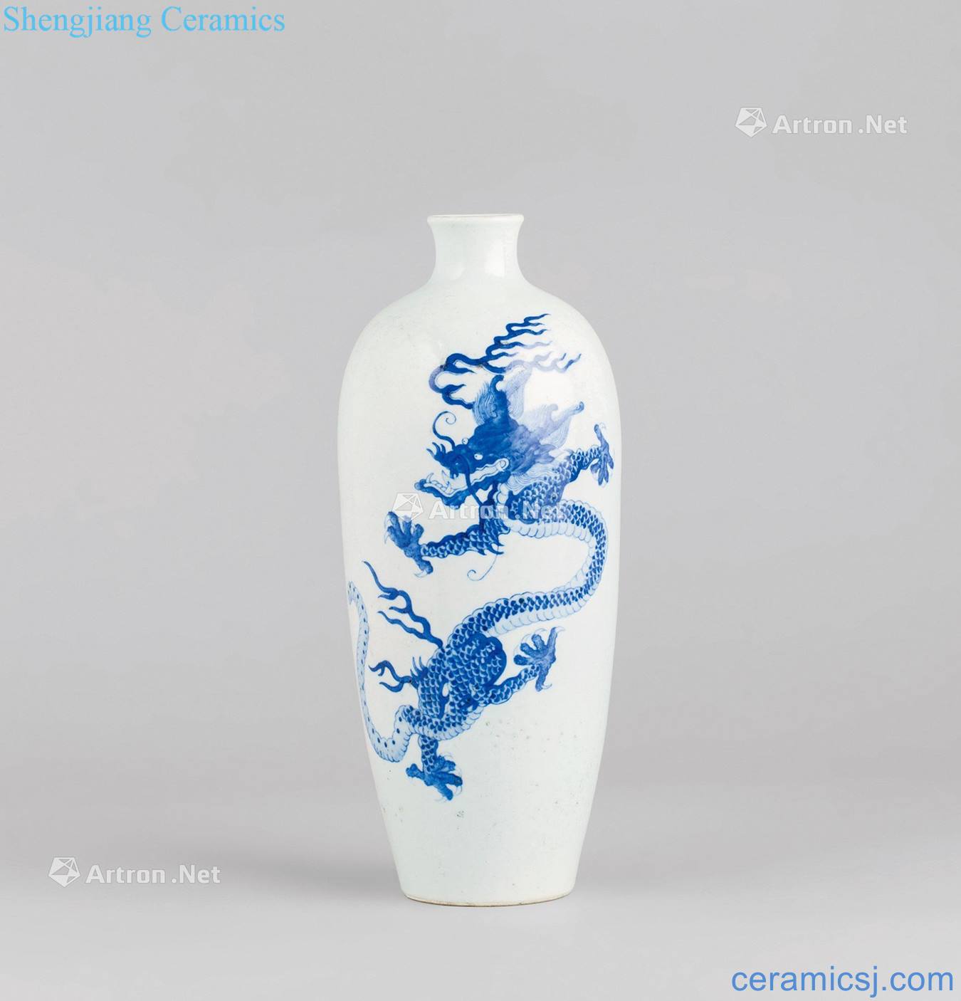 In the qing dynasty Blue and white ssangyong grain mei bottle