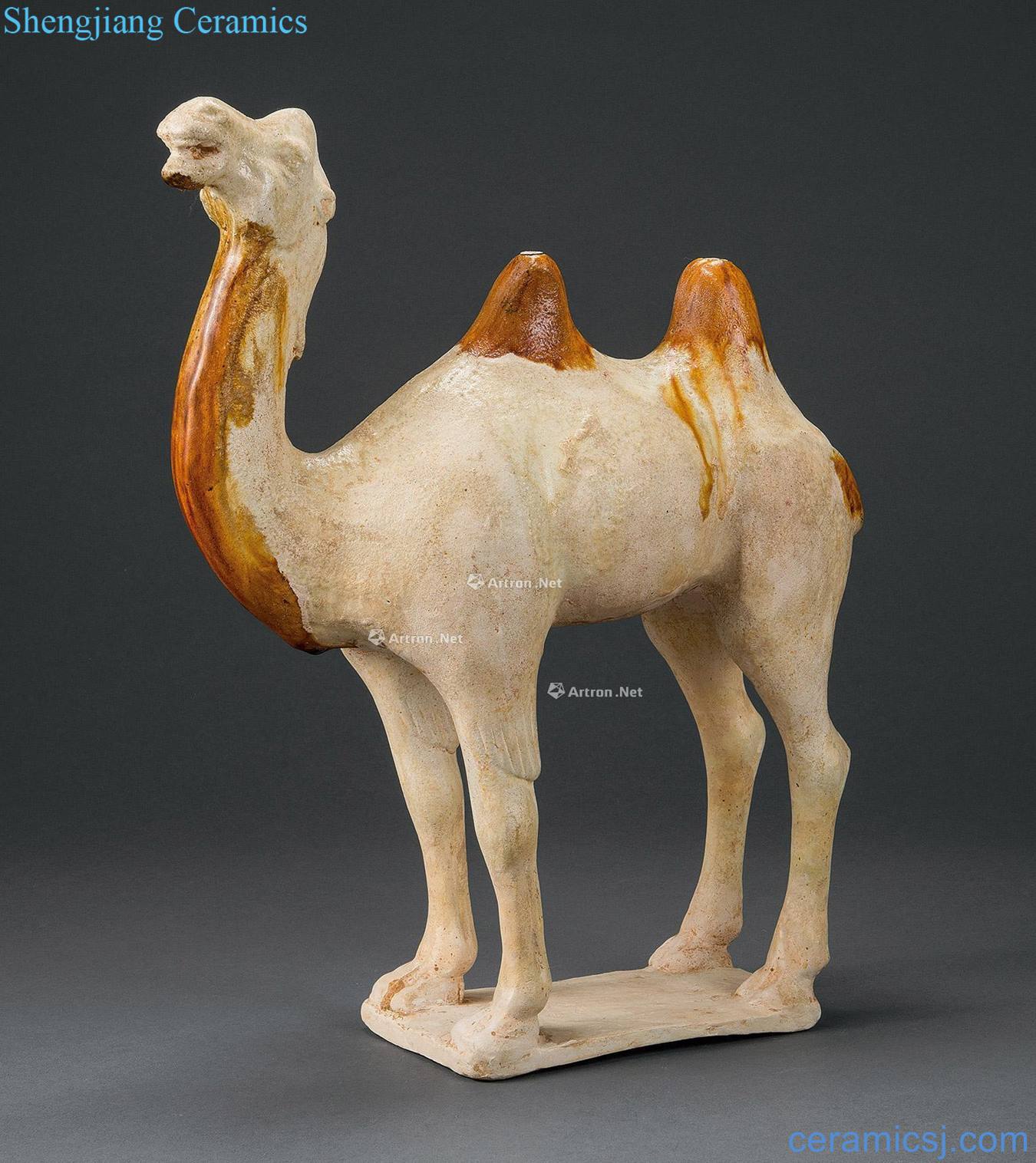 Tang three-color camel