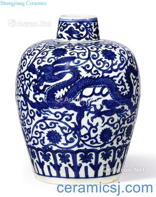 Ming wanli Blue and white wear dragon tank