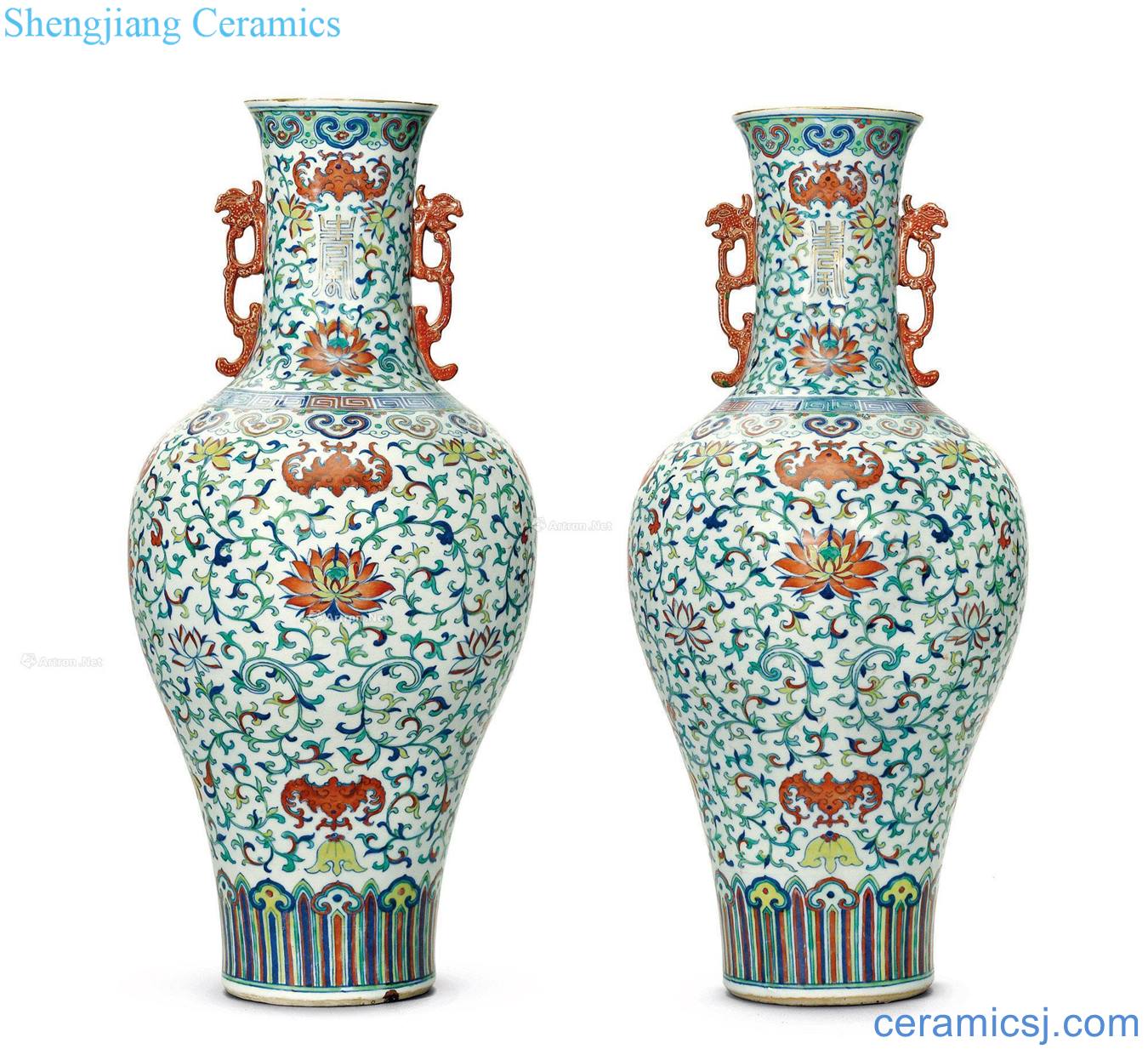 Qing jiaqing/light color bucket live long and proper dragon ear big bottle (a)