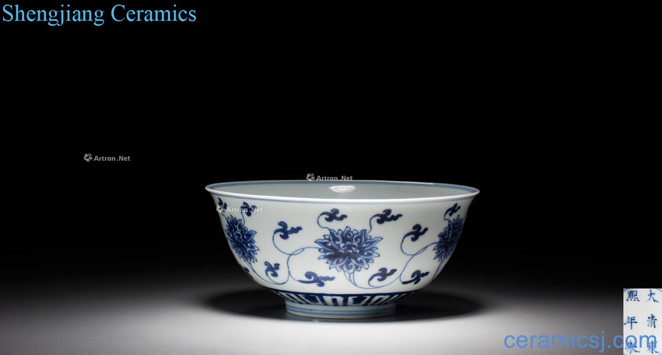 The qing emperor kangxi Blue and white bowl bound branches
