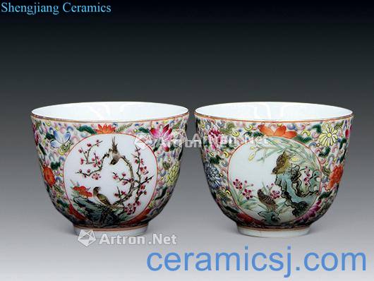 Qing guangxu Pastel flowers painting of flowers and a cup of (a)