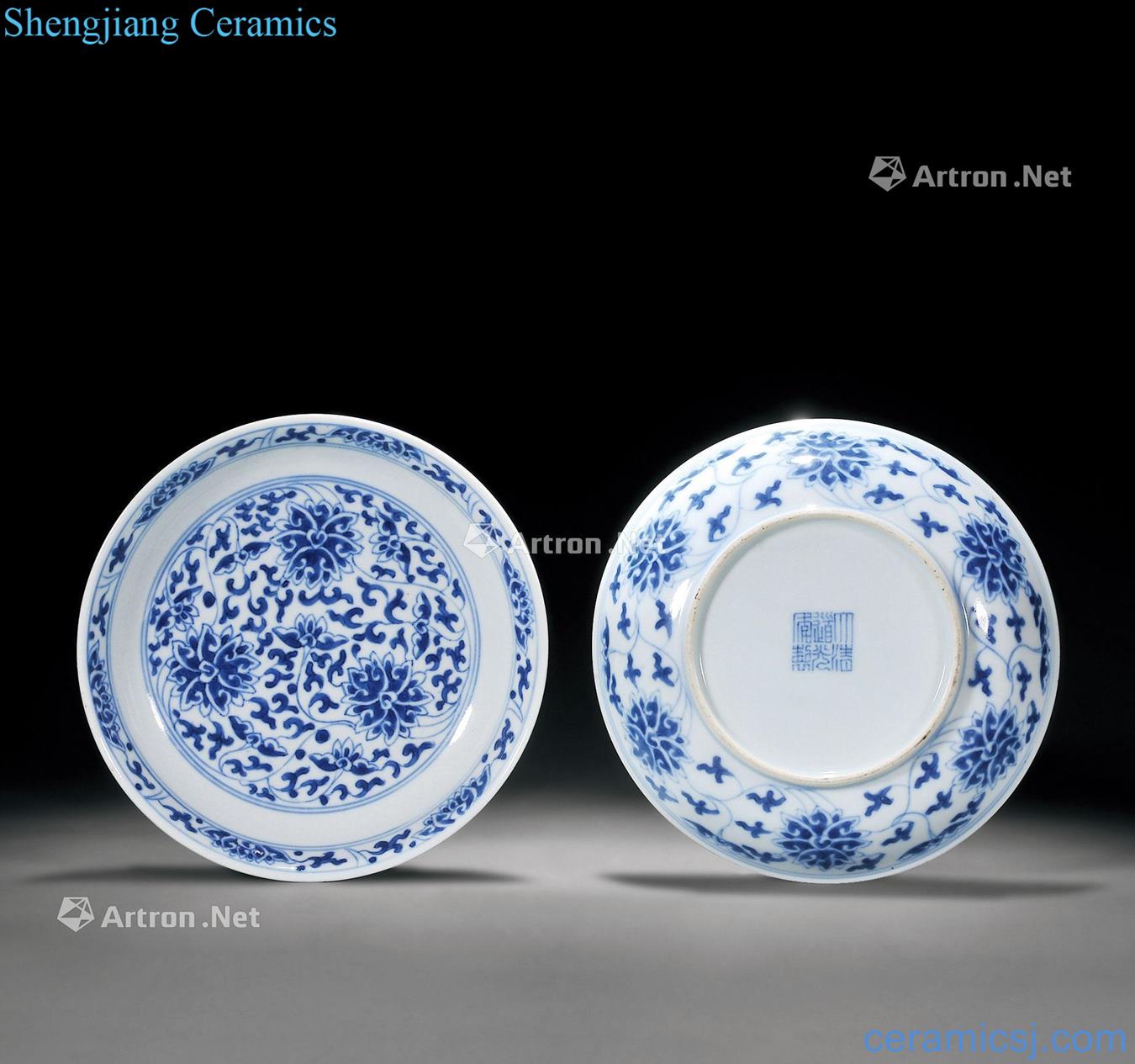 Qing daoguang Blue and white tie up lotus flower tray (a)