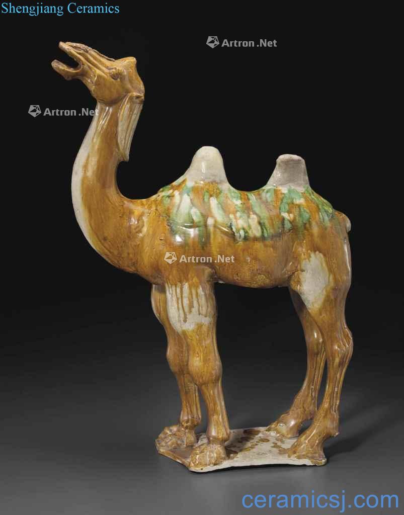 Tang three painted pottery bactrian camels