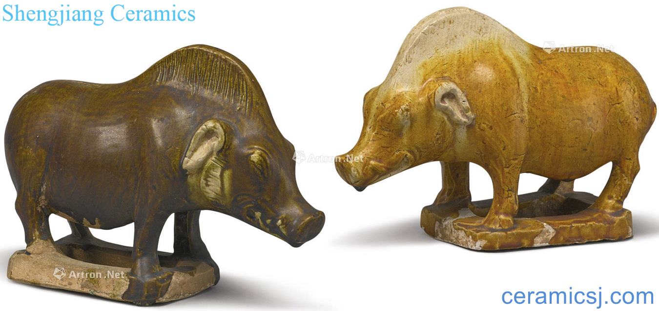 Pigs in brown yellow glazed pottery of tang (two)