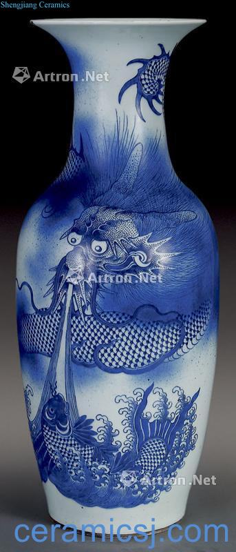 Qing guangxu Blue and white glaze dragon bottle