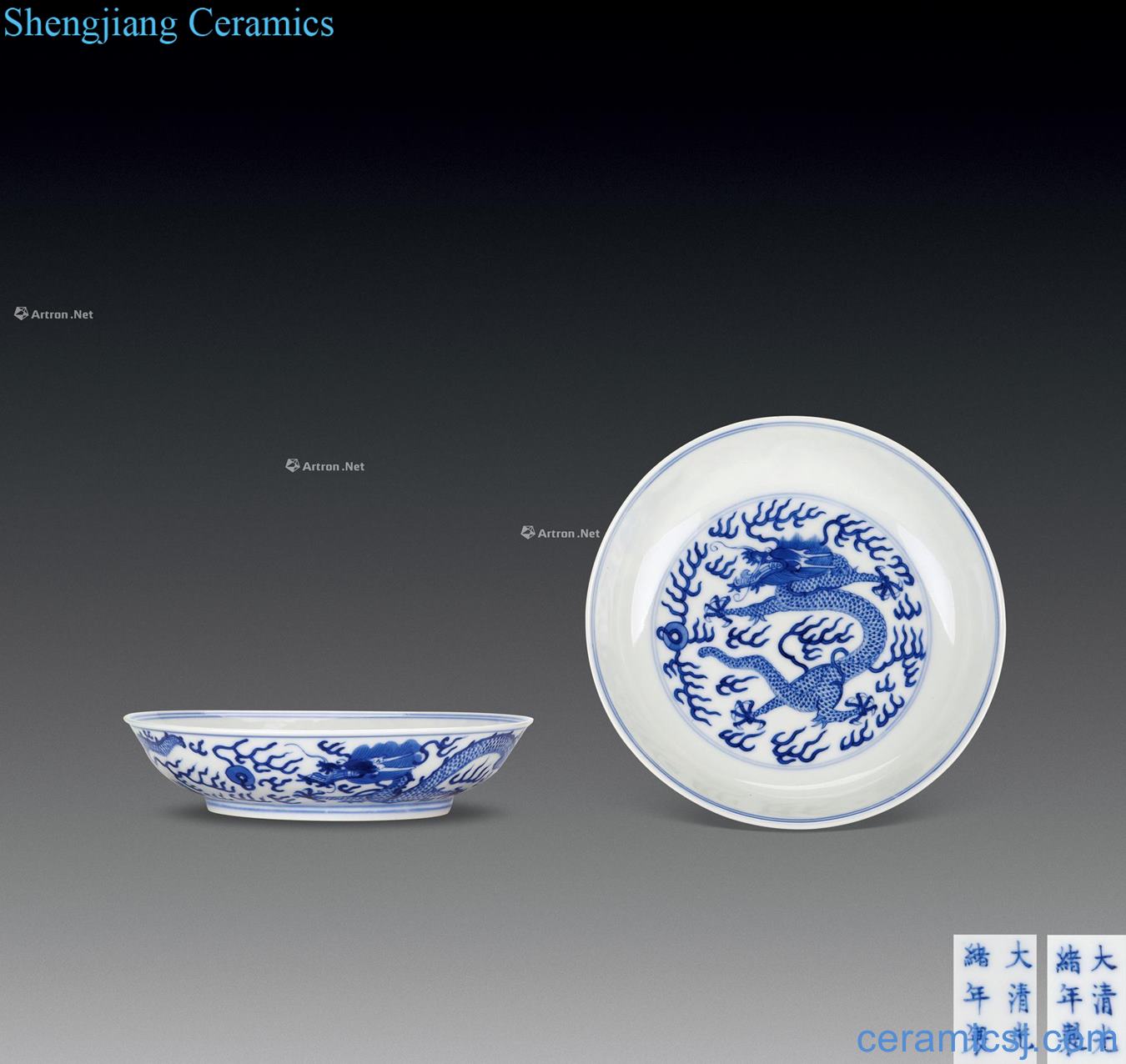 Qing guangxu Blue and white dragon plate (a)