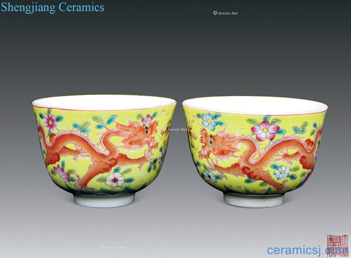 Qing daoguang To pastel yellow flower colour brahman red glaze ssangyong cup (a)