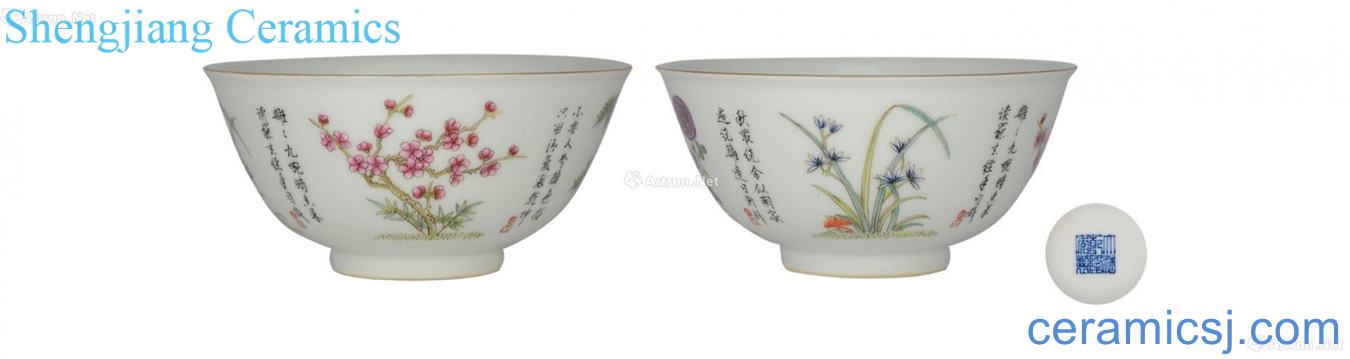 Pastel chrysanthemum patterns bowl