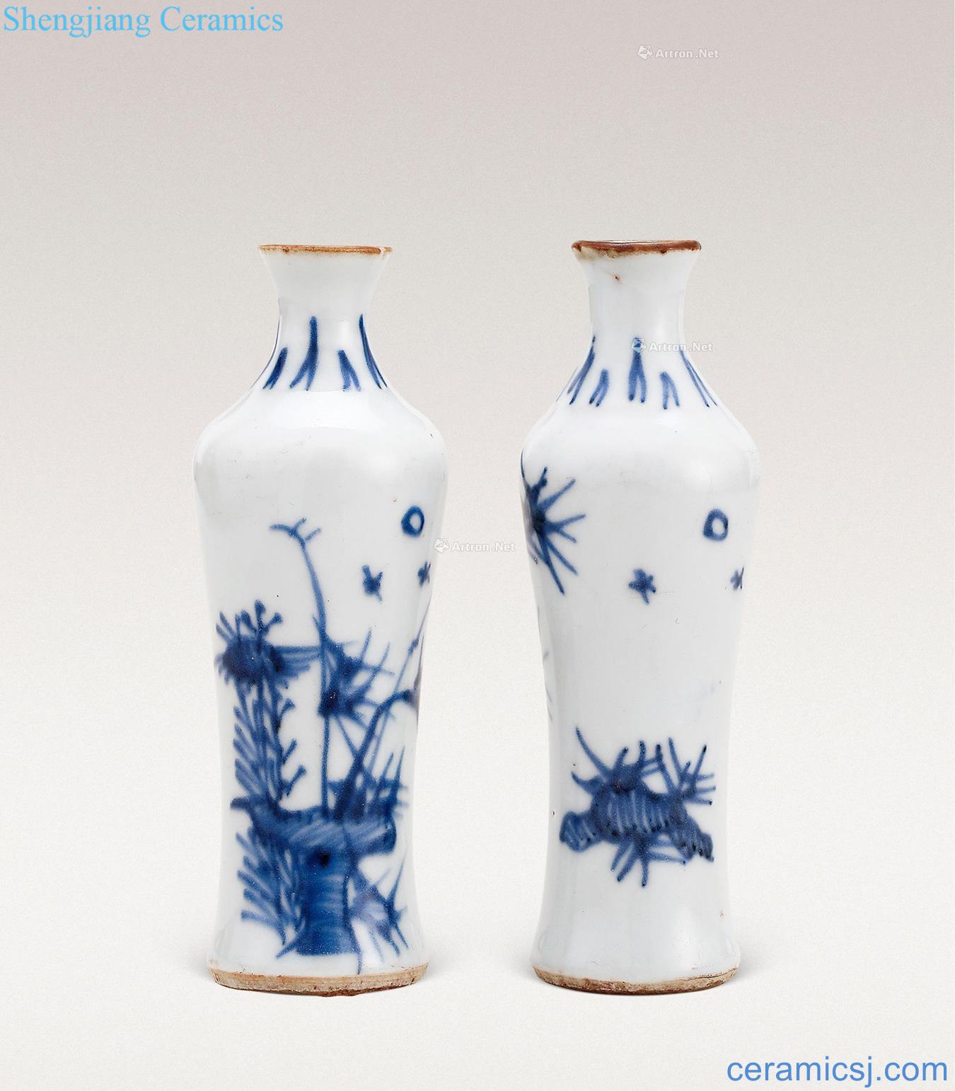 The late Ming dynasty Blue and white flower grain small bottle (a)