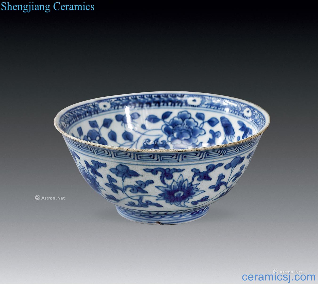 Early in the morning Blue and white peony green-splashed bowls