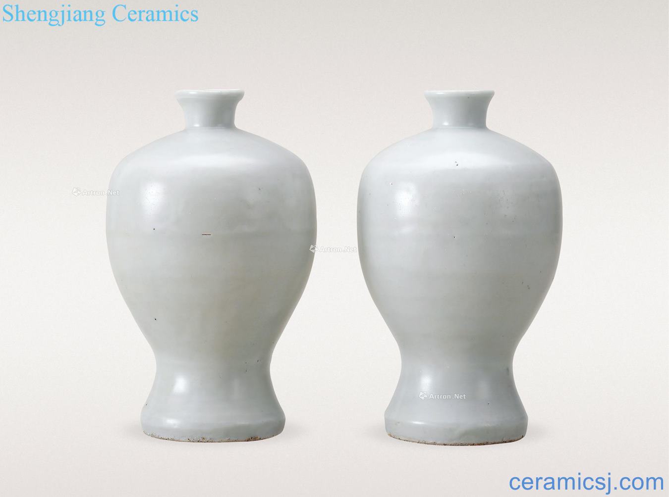 Ming dynasty White glazed plum bottle (a)