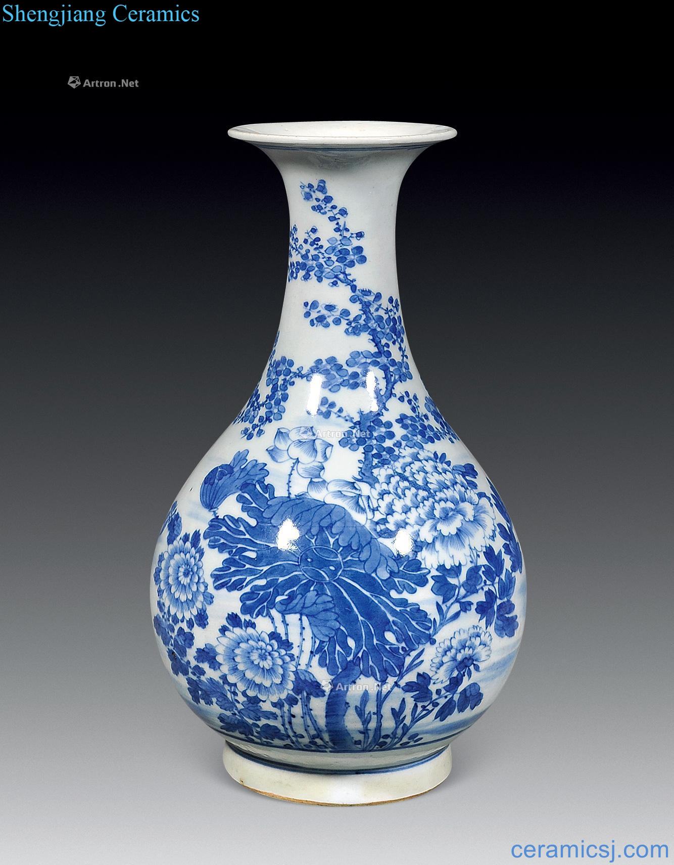 Qing jiaqing Blue and white flowers okho spring bottle