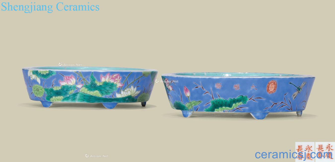 Clear blue and pastel lianchi grain narcissus basin (a)