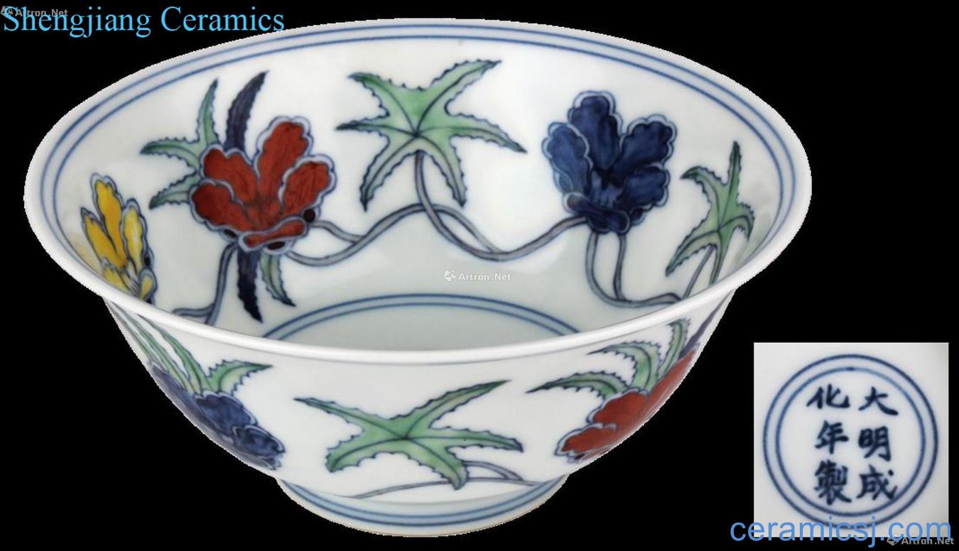 Dou color bowl of okra decorative pattern