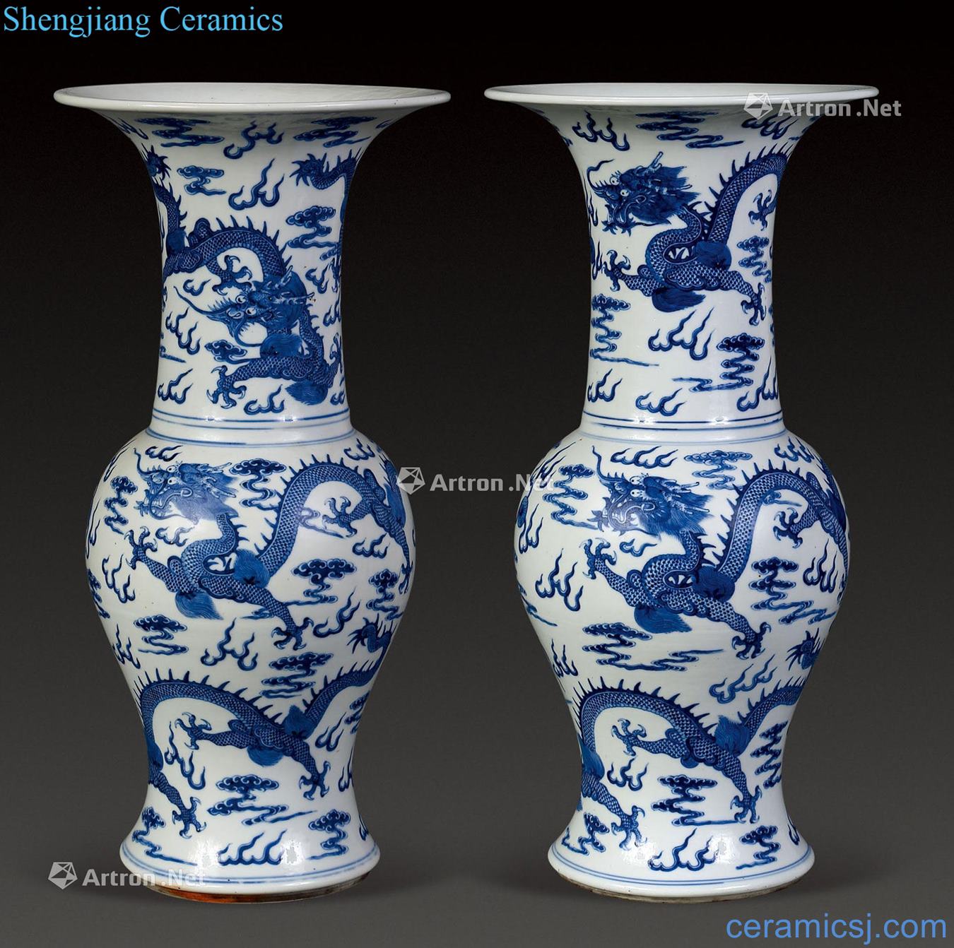 qing Blue and white dragon flower vase with (2)