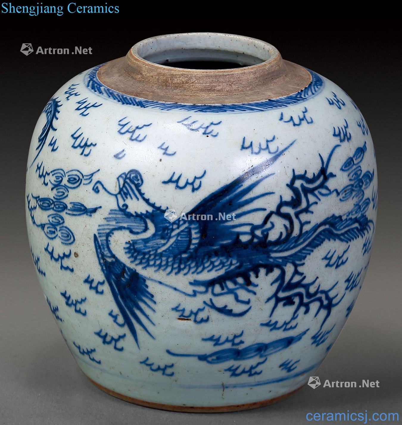 The qing emperor kangxi Blue and white longfeng grain canister