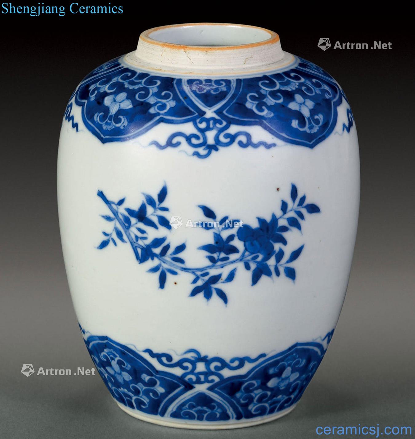 Qing porcelain pot