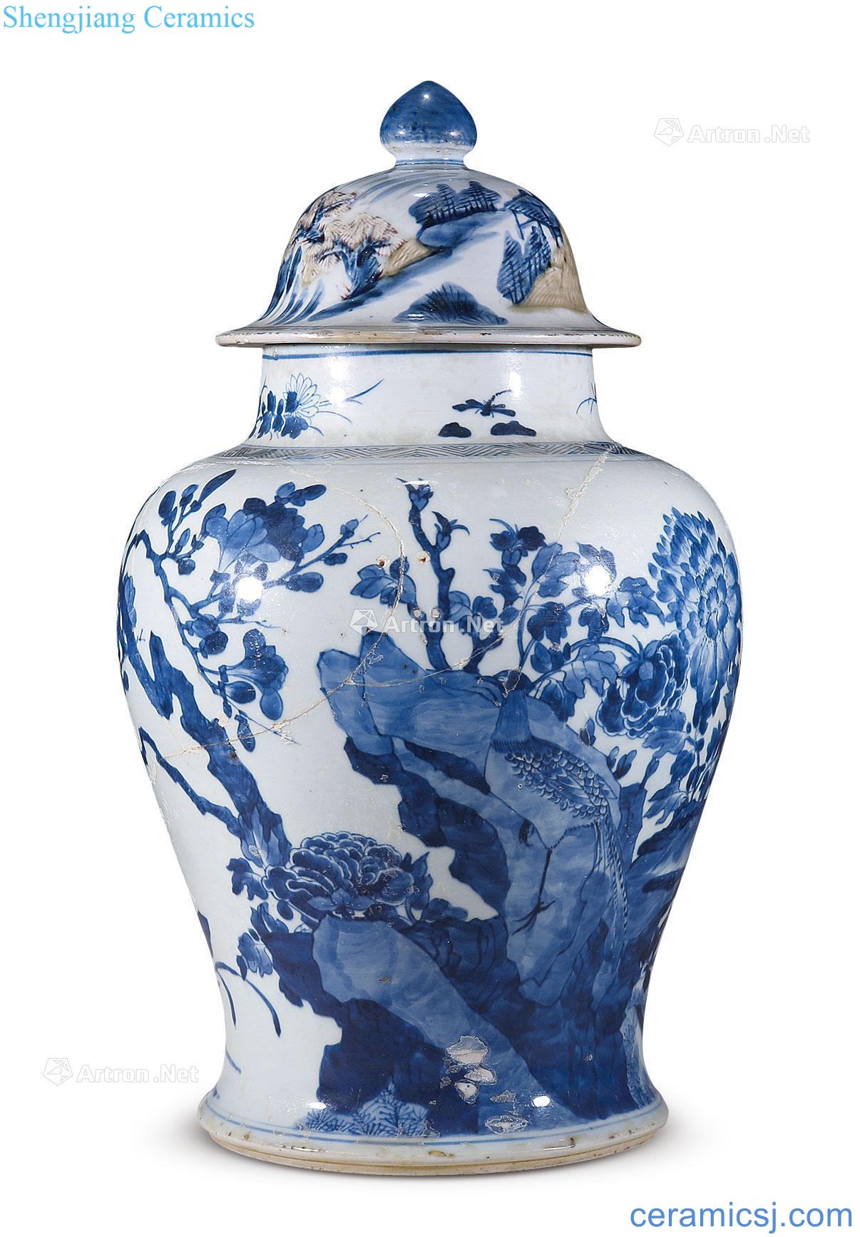 The qing emperor kangxi Blue and white flower on grain general tank