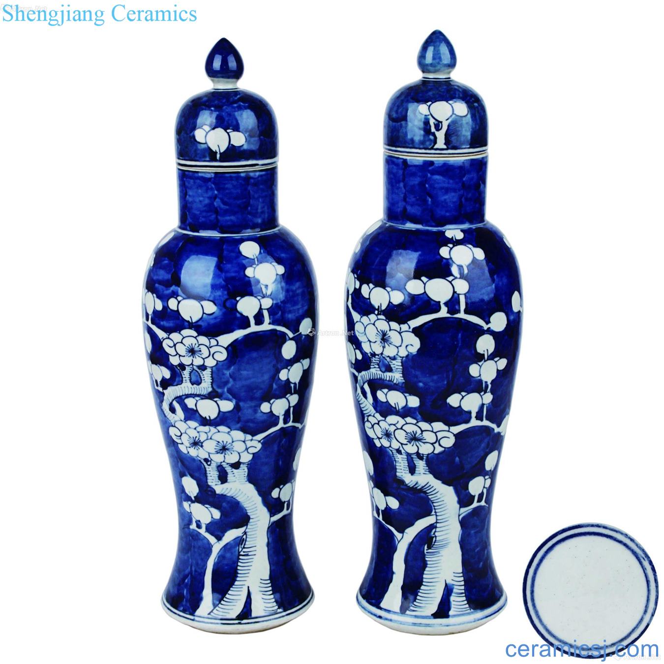 Ice may goddess of mercy bottle cover a pair of blue