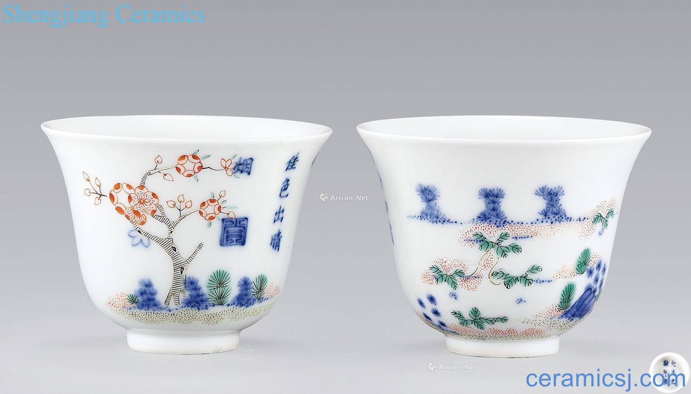 Qing guangxu Blue and white color flora cup (a)