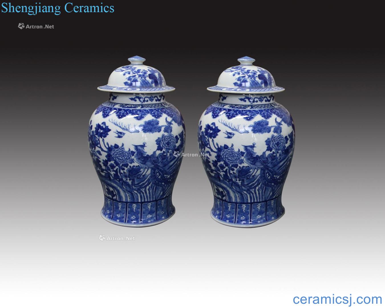 In the qing dynasty Blue and white grain general tank (a)