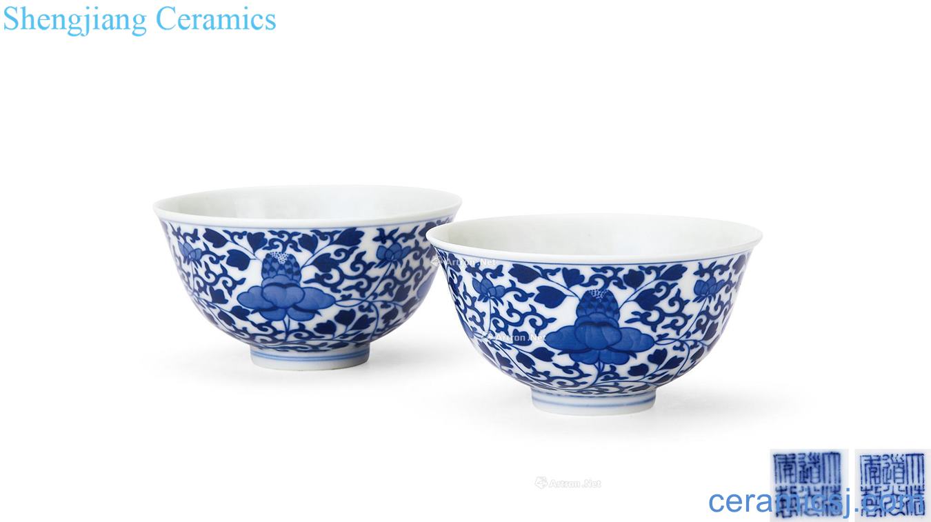 Qing daoguang Blue and white flowers green-splashed bowls (a)