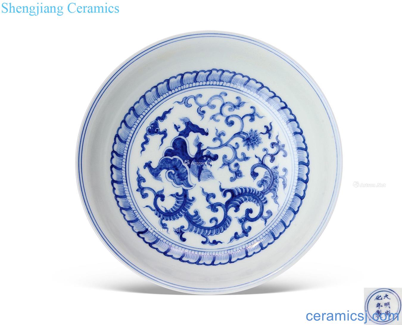 in Blue and white flower dragon pattern plate