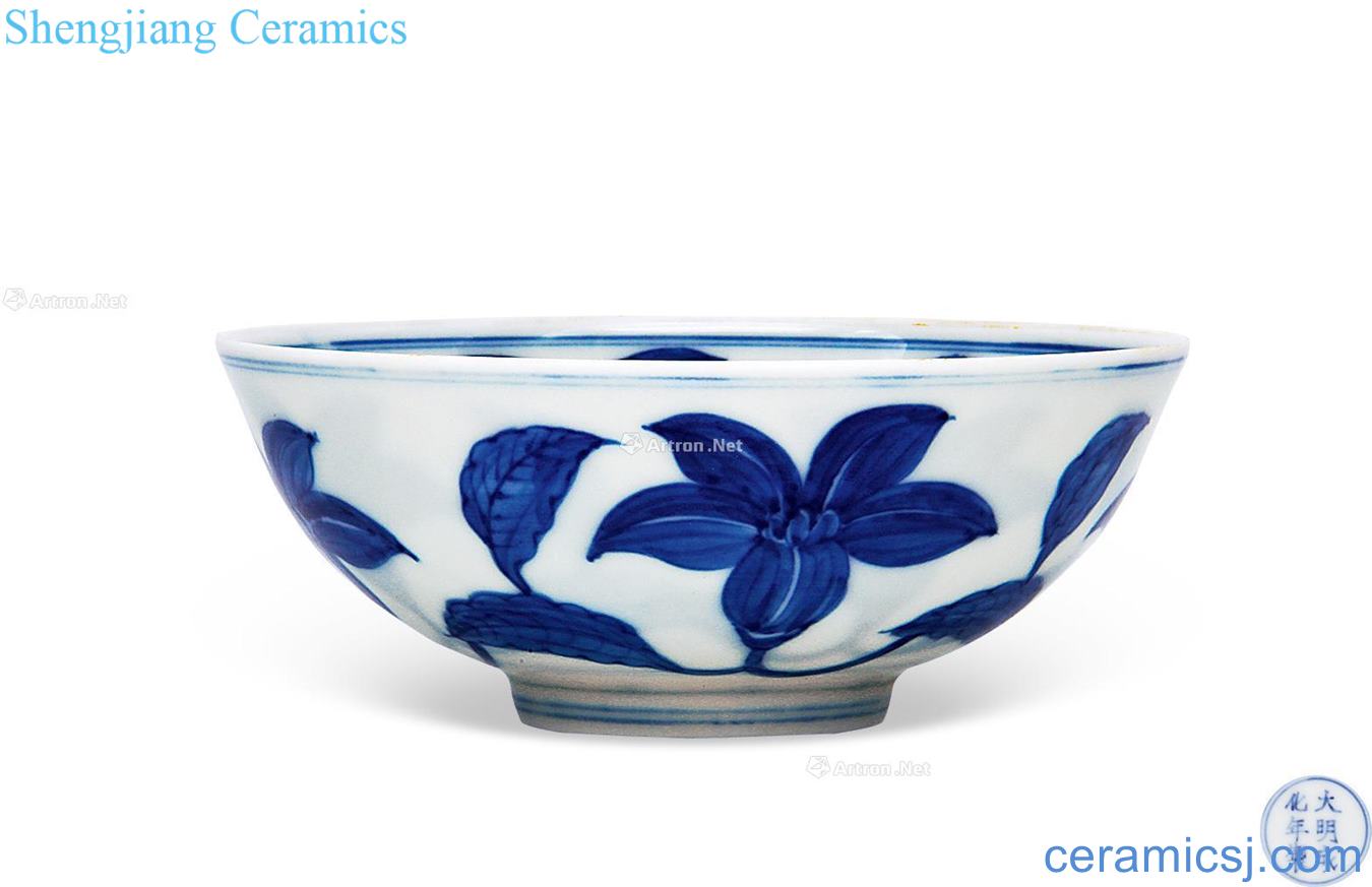 in Blue and white bowl
